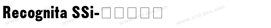 Recognita SSi字体转换
